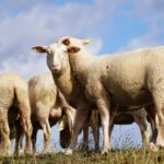 Energieverbrauch in der Küche senken